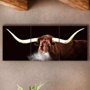 Longhorn Triptych Block Mount