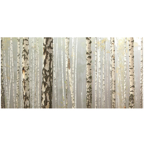 White Forest Canvas Art White Forest Canvas Art