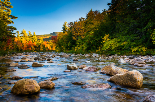 How The Wilderness Act of 1964 Changed America